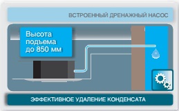 конденсат