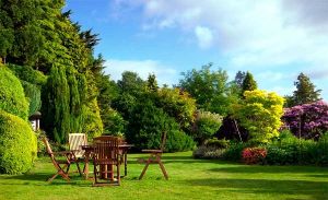 Сфера применения