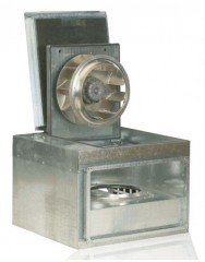 IRAB-4-315A.jpg