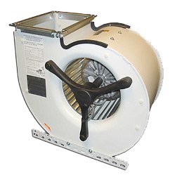 фишбах це 2.jpg