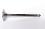 PL 608532/ PL 612817 Клапан впускной