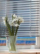 Жалюзи алюминиевые Польша 25