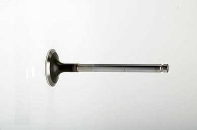 3142L081 Впускной клапан