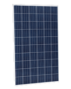 Полікристалічний модуль Jinko Solar Eagle PERC 60 JKM295M-60