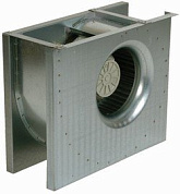CT 250-4